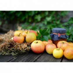 3 pommes reinette
