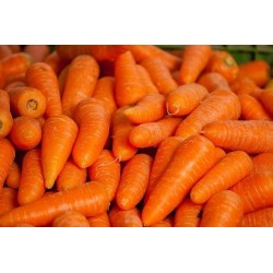 Carottes fanes
