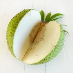 panfruit