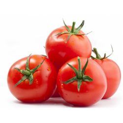 1  kg de Tomates rondes...