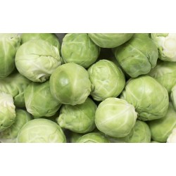 1 kg de Choux Bruxelles