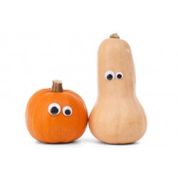 Potimarron ou Butternut