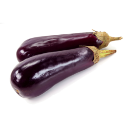 Aubergine