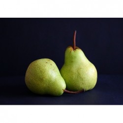 1 kg de poires, variété...