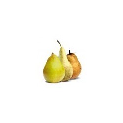 600g de poires Rocha