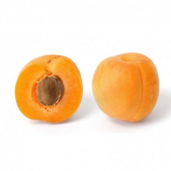 500 g   Abricots