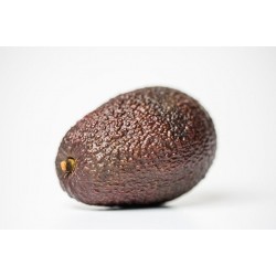 2-3 Avocats prêts à consommer