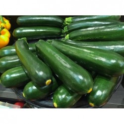 750 gr Courgettes longues
