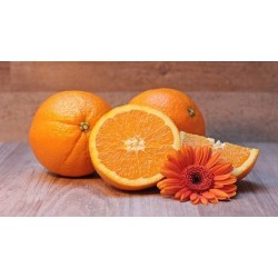 3/4 Oranges  env.800 gr -...