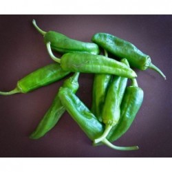 Piments doux sachet de 12...