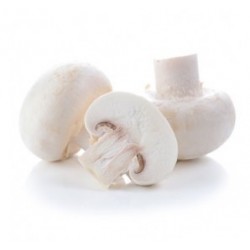 250 gr Champignons de Paris