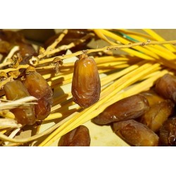 500g Dattes