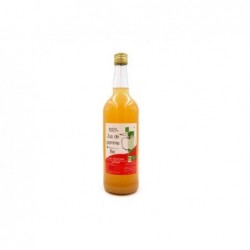 1L jus de pomme & kiwi BIO