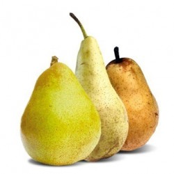 1 kg Poires Comice