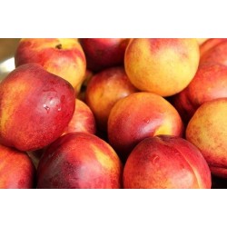 1kg de nectarines ou pêches...
