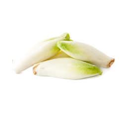 Endives 2 à 3 pièces
