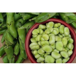 500 gr de Fèves