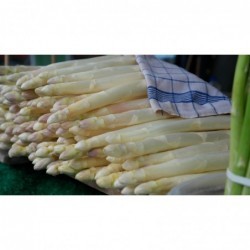 1kg d asperges blanches...