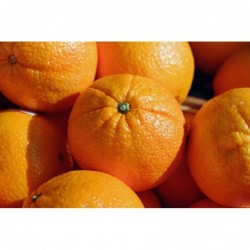1 kg Oranges tr. imazalil...