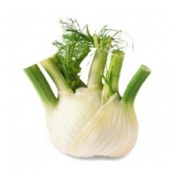 2 Bulbes de Fenouil