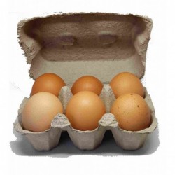 6 oeufs fermiers plein air,...
