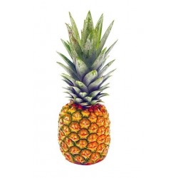 1 Ananas